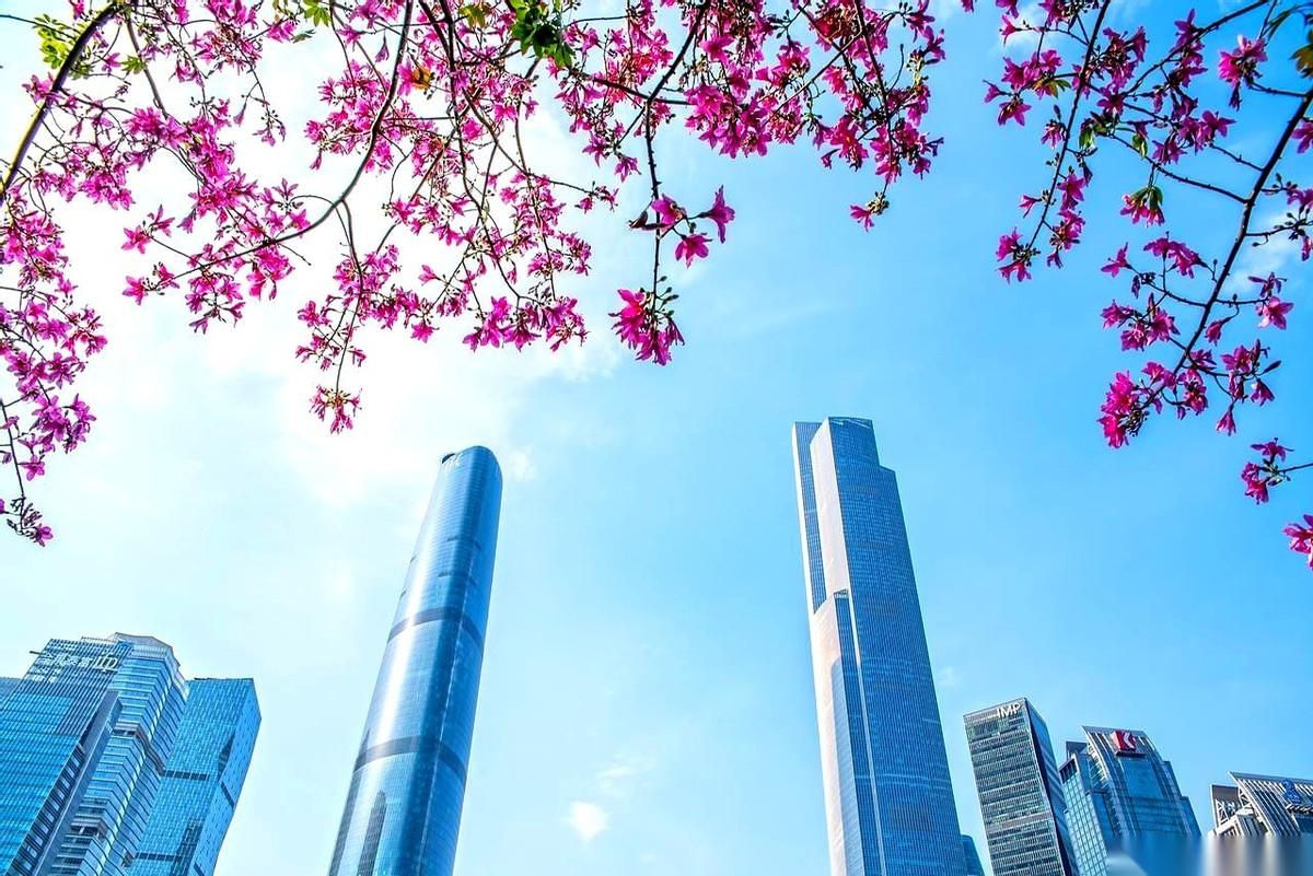 他说，我们迎着他们打。停车场就在前面，车门一开，油门一踩，就安全了。可他偏不