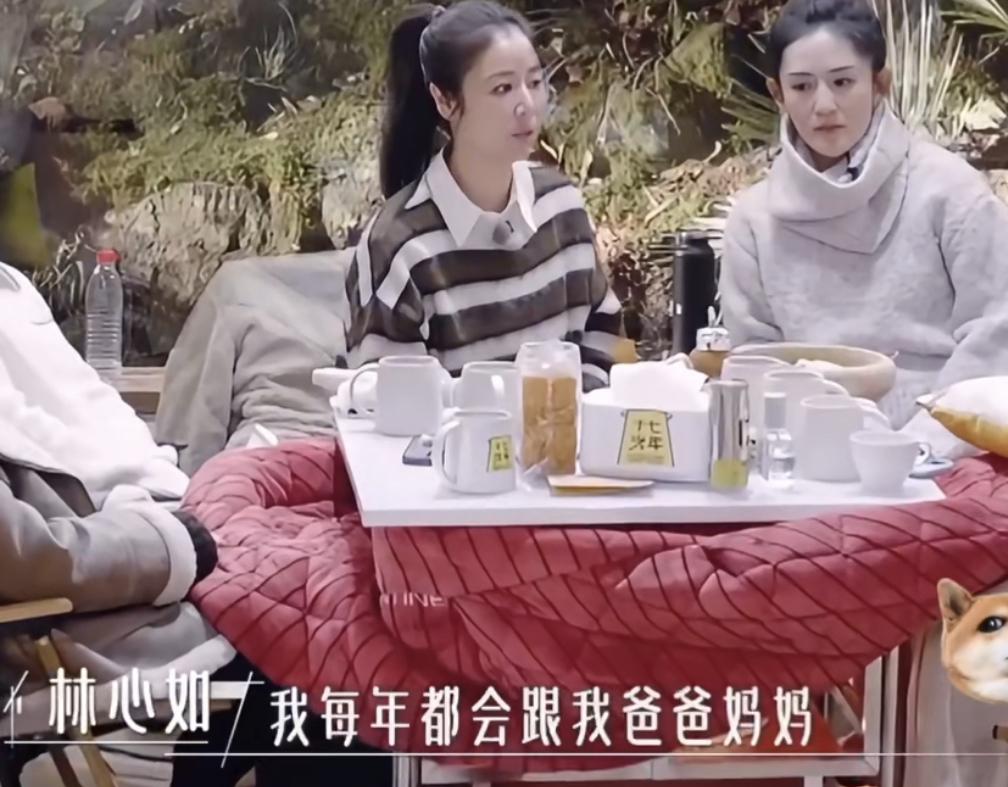 林心如在婚前每年都会和父母一起去旅游。但是结婚有小孩后，这样的几率就很小了，几乎