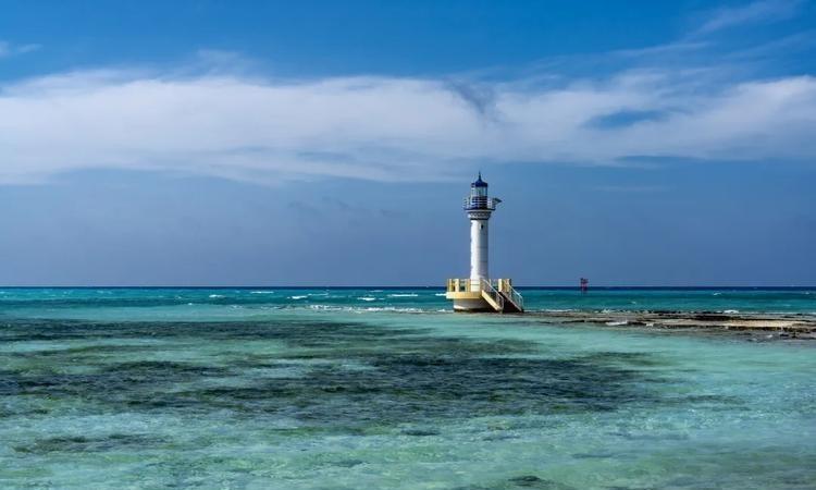 2026年3月，菲律宾上演了一出“变脸”大戏。前脚农业部长低头求中国别限化