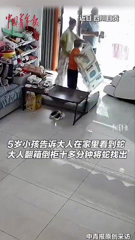 “万幸啊！”，四川自贡，男孩回家后就指着家里角落尖叫“有蛇在里面！”，随后脱了