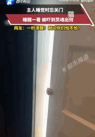 辽宁传出了一段让不少网友乐不可支又心惊胆战的趣闻，辽宁一住户夜里睡觉忘了关门，一