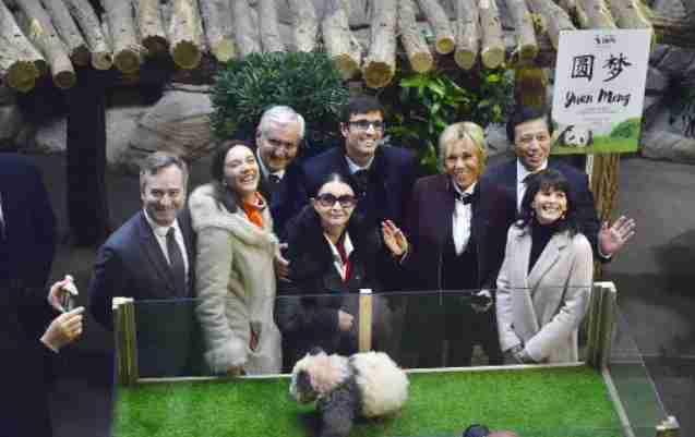 发现了吗？马克龙夫人布丽吉特非常喜欢大熊猫！感觉她这次来访问就是奔着熊猫来的