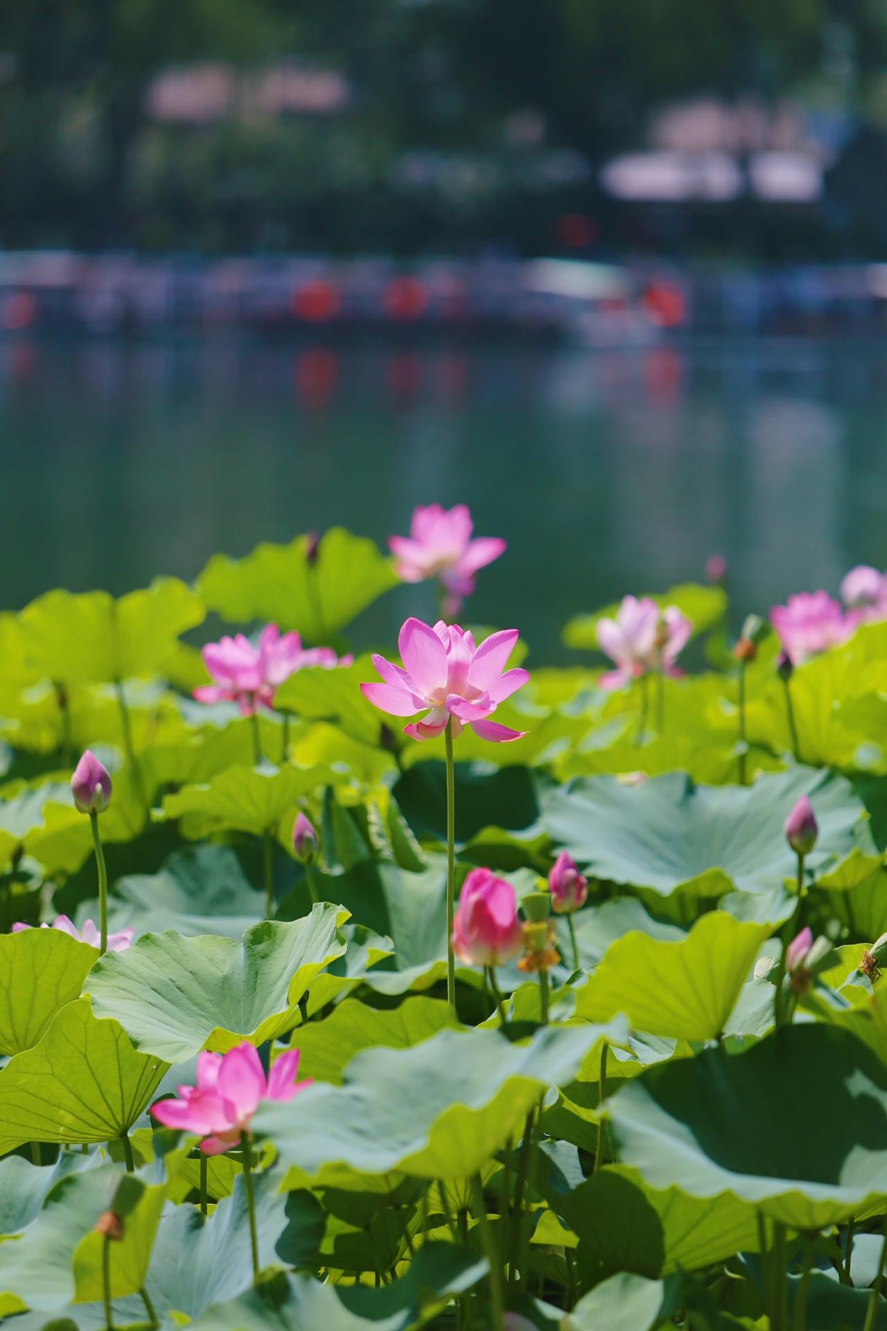 在城市生活，最重要的成本其实就是房子。对于绝大多数农村孩子来说，若没有父母的帮衬
