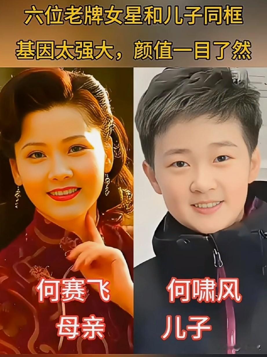 盘点6位老牌女星和自家儿子同框你最爱哪一对？哪一位最像母亲？