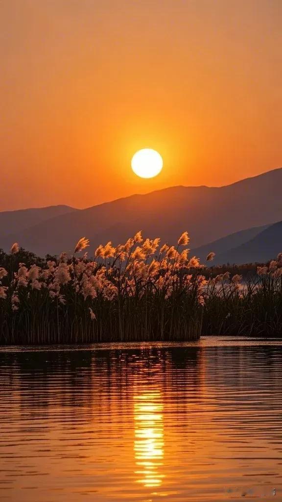 陈道明醍醐灌顶的一句话：“男人最傻的事，就是今天请这个朋友喝酒，明天去那个兄