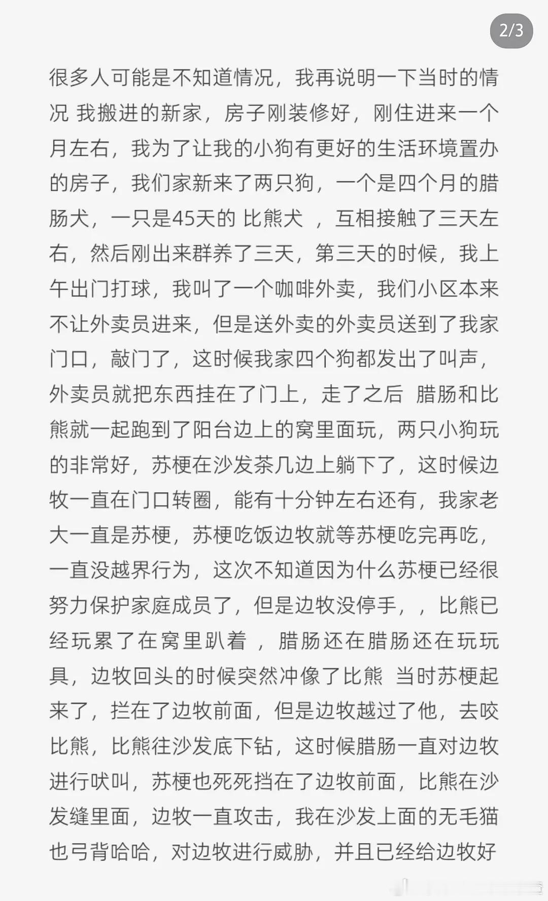 边牧吃了比熊的热帖被扒出来是自导自演为了给自己的犬舍起号引流编的​​​