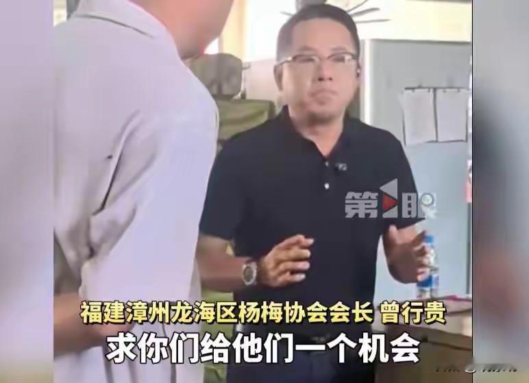7万吨杨梅烂在地里？脚上的泡，就是你们自己走出来的！福建漳州，龙海区。7万吨