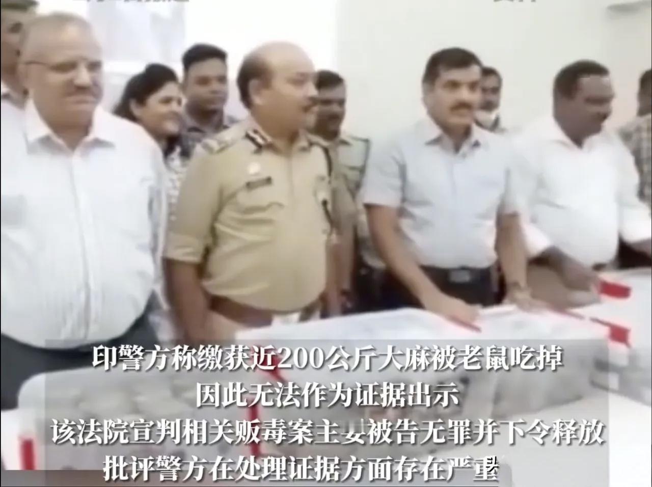 三哥家的老鼠偷吃了警局的200公斤大麻？毒贩因为没有了证据，所以被无罪释放？真是