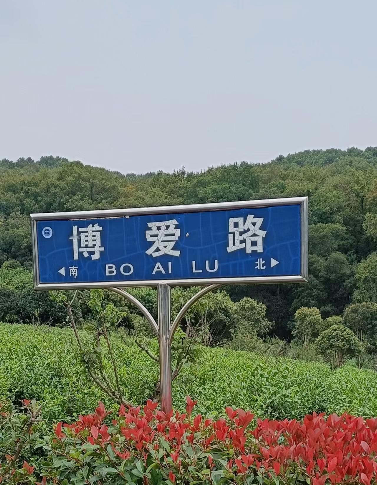 就是天意，老天给力。得知中国台湾国民党主席郑丽文，4月8号访问南京，南京阴有中