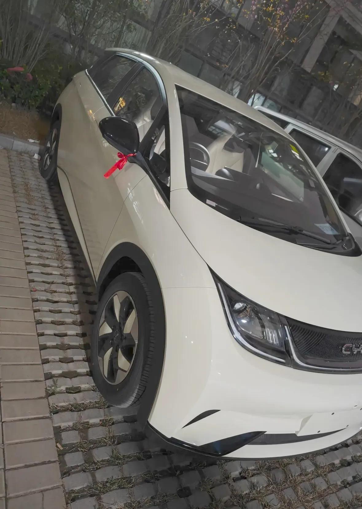 喜提海豚自由版一辆，6万+过年之前看还是8万+现在是真好呀，我也没要自行