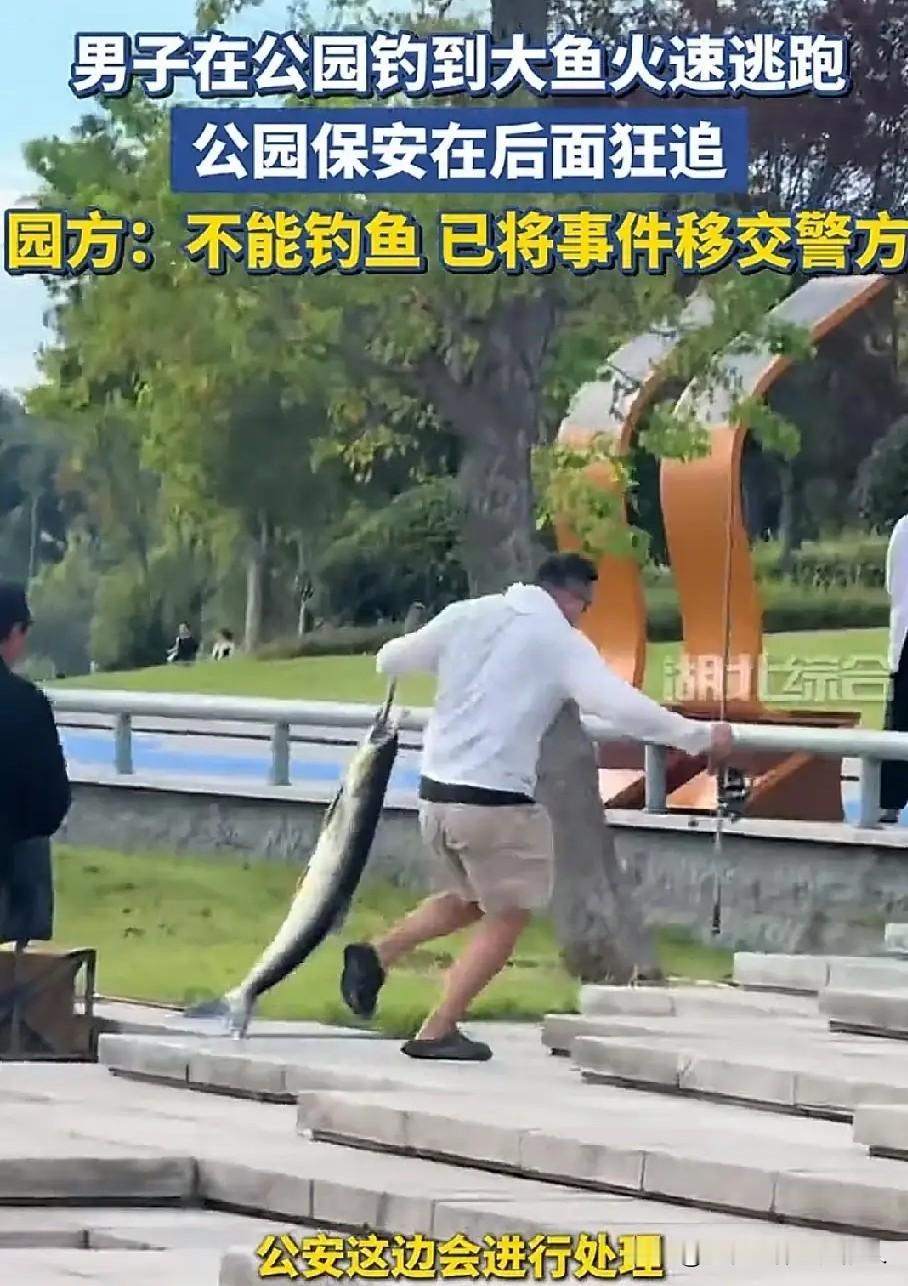 别人钓鱼是休闲，这位大哥上演的是“极速逃跑”成都的兴隆湖，一位大哥在偷偷的钓