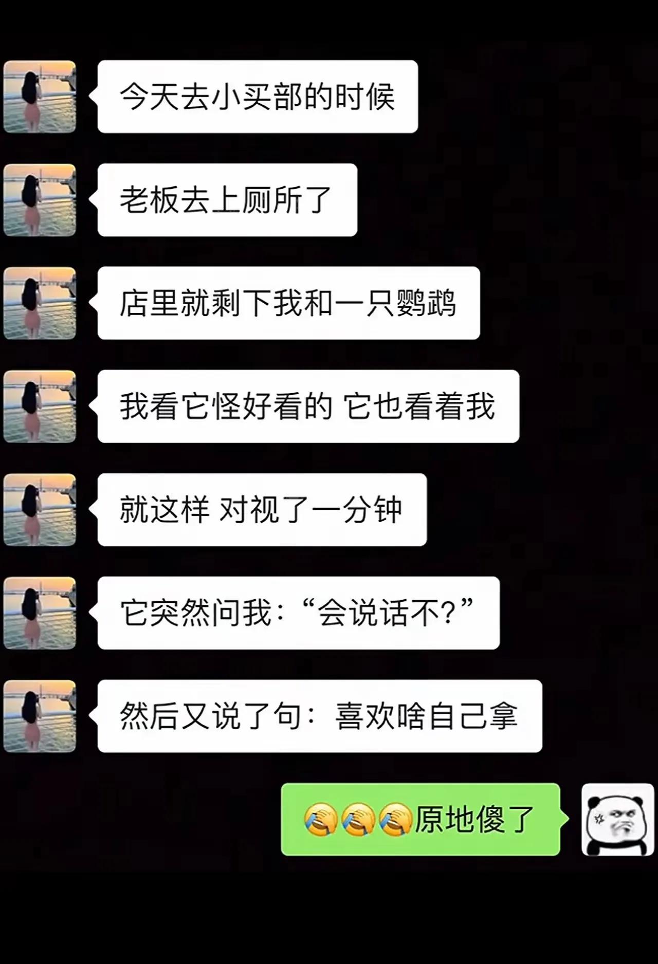 好想养一只这样的鹦鹉[爱心]