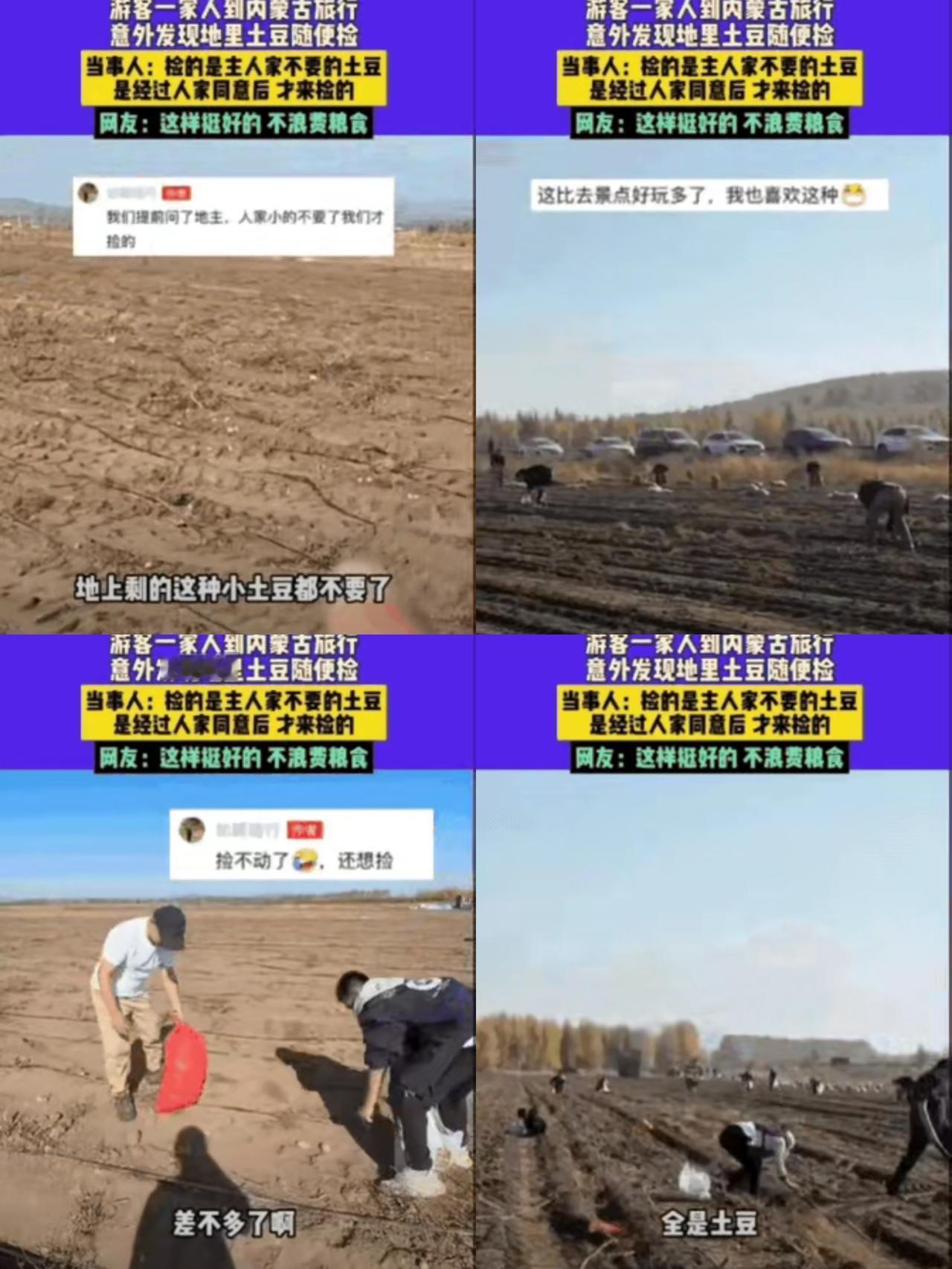 谁懂啊！内蒙古旅行撞见最暖的“意外收获”——一家三口路过土豆地，孩子喊着发现“
