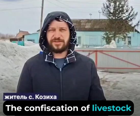 【西伯利亚居民“感谢”当局强制宰杀牲畜】动物被强行没收并被宰杀，违背了主人的意愿