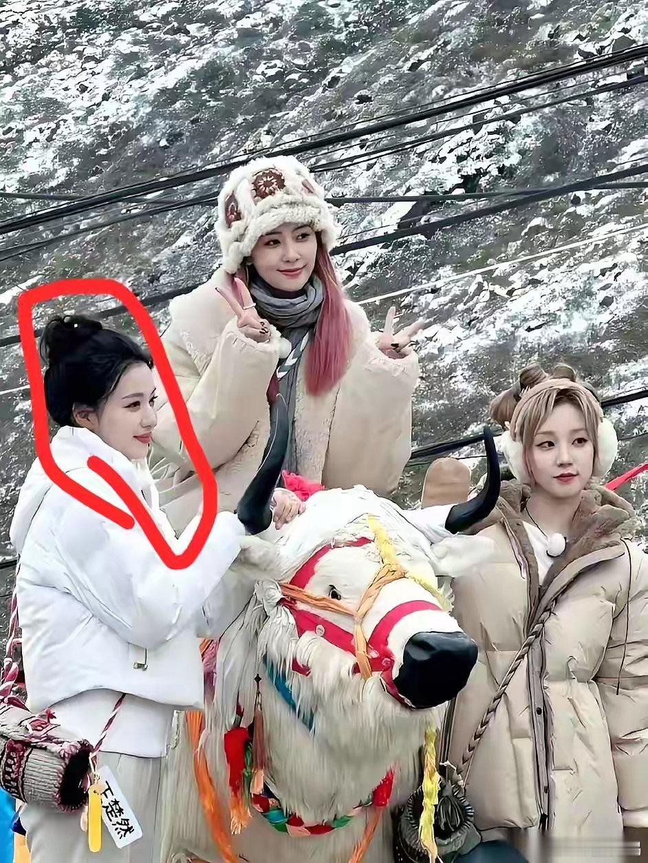 有时候真觉得，女明星这个职业，老天爷不赏饭吃，真的没用。就那张照片，白鹿、宋雨琦