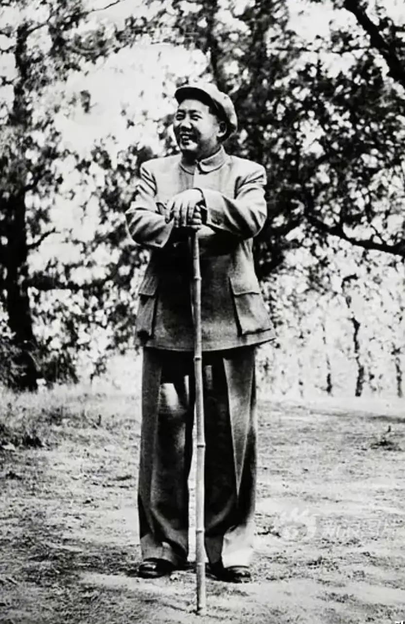 柱着顶天立地的竹棍！豪气冲天的笑容征服世界！