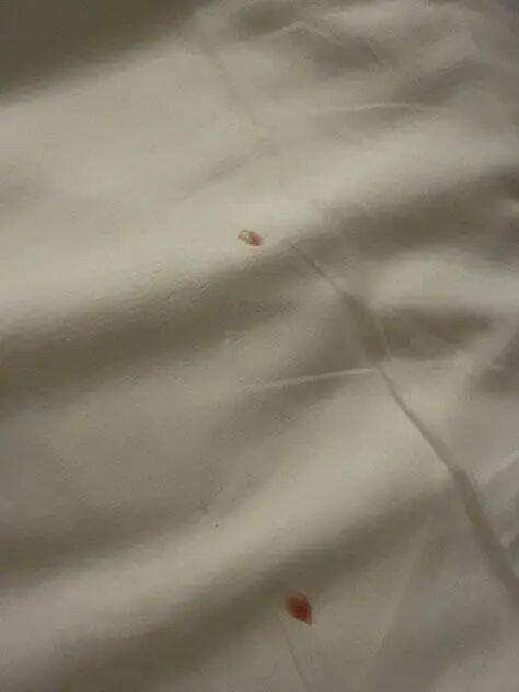 上海，一视频博主入住全季酒店后发现床单有两处疑似血迹。要求换房被拒，店员一句“不