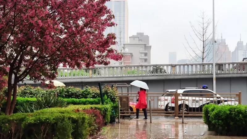 端午节期间的这场降雨无疑是给假日经济浇了一盆冷水。31日下午起，