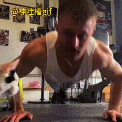 受宠的猫咪：主人在家做俯卧撑，猫咪过来蹭一蹭主人，没想到主人钻到了猫咪的肚子下面