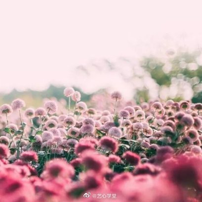 水逆退散公益救援在行动1２星座的胡言恋语白羊座♈：失恋就似感冒金牛座♉：心痛