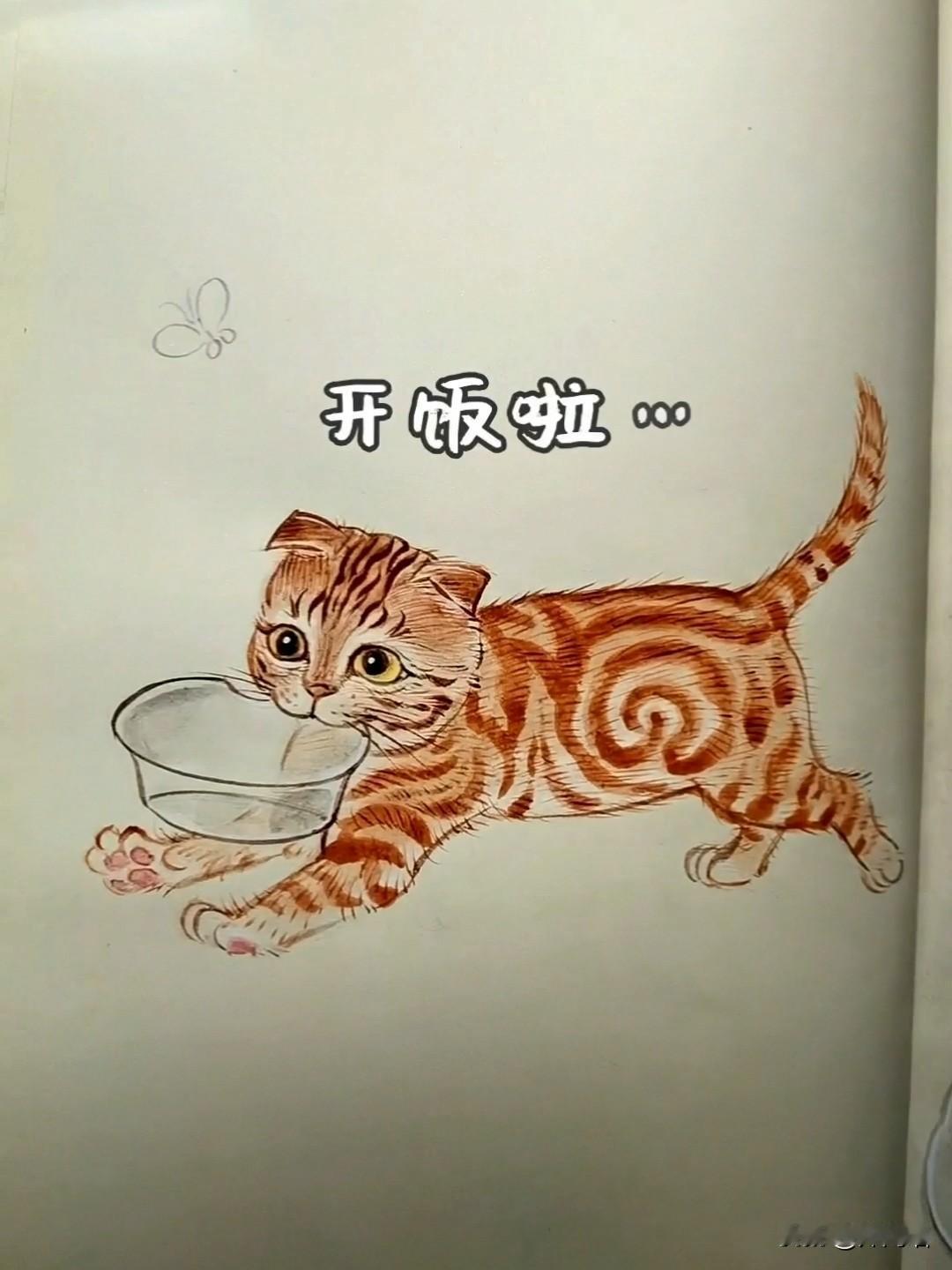 自己带碗的讨饭橘🐱🍚为了一口吃的，小猫也很努力呀流浪干