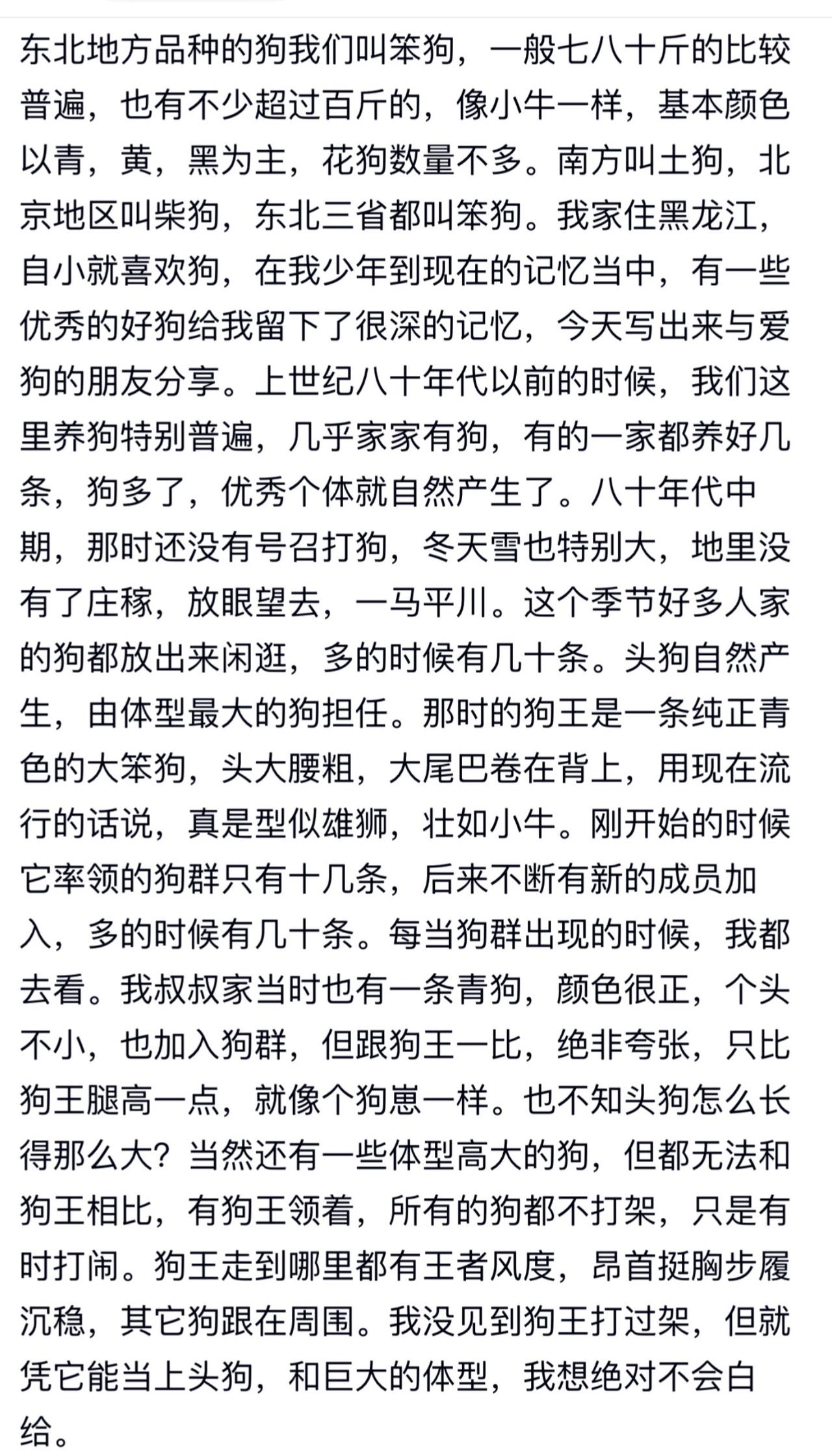 东北大笨狗真的那么厉害吗？这位东北网友讲述他小时候见过东北大笨狗的故事，非常精彩