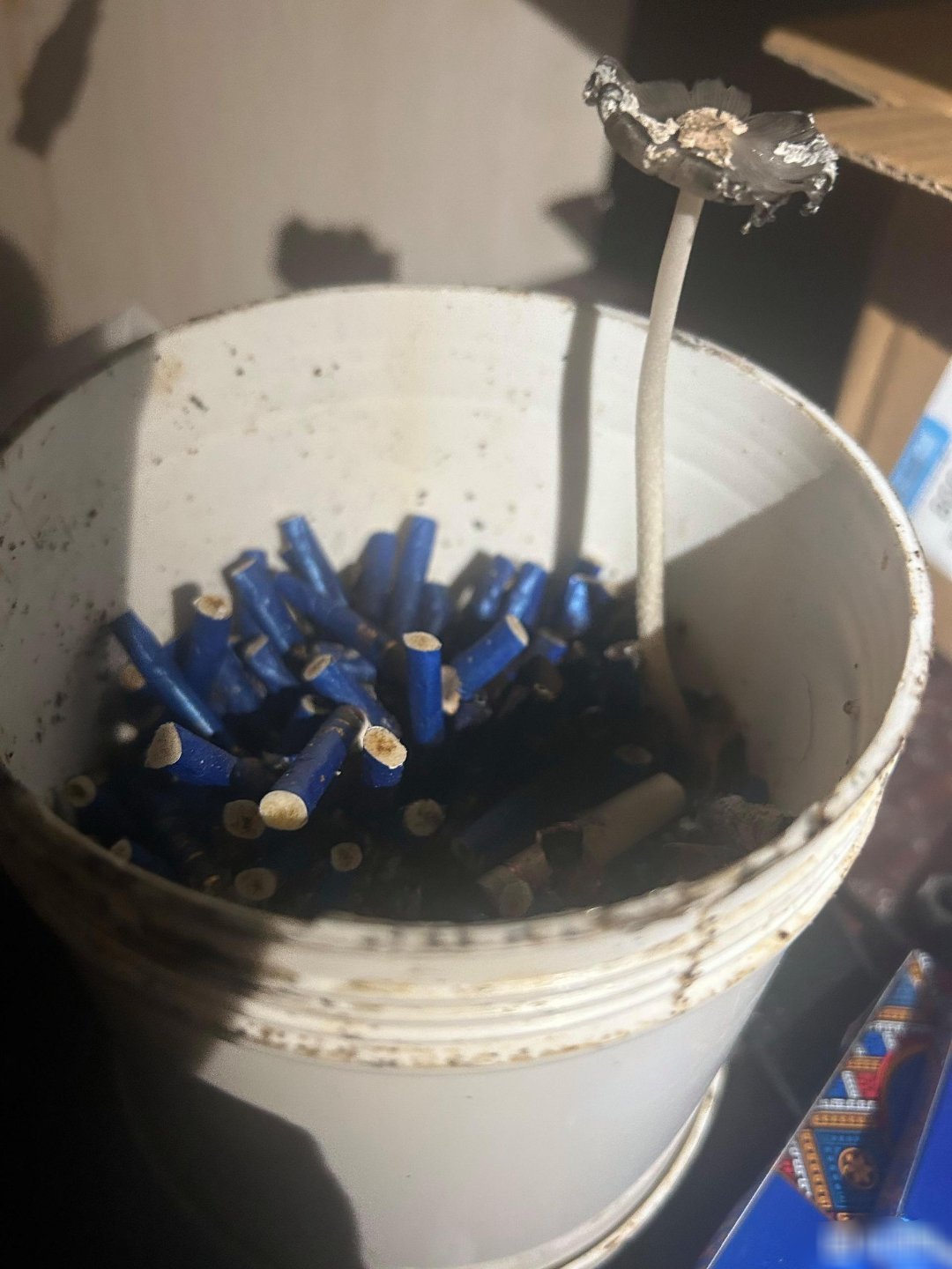 烟灰缸里长蘑菇了算不算私自种植毒品