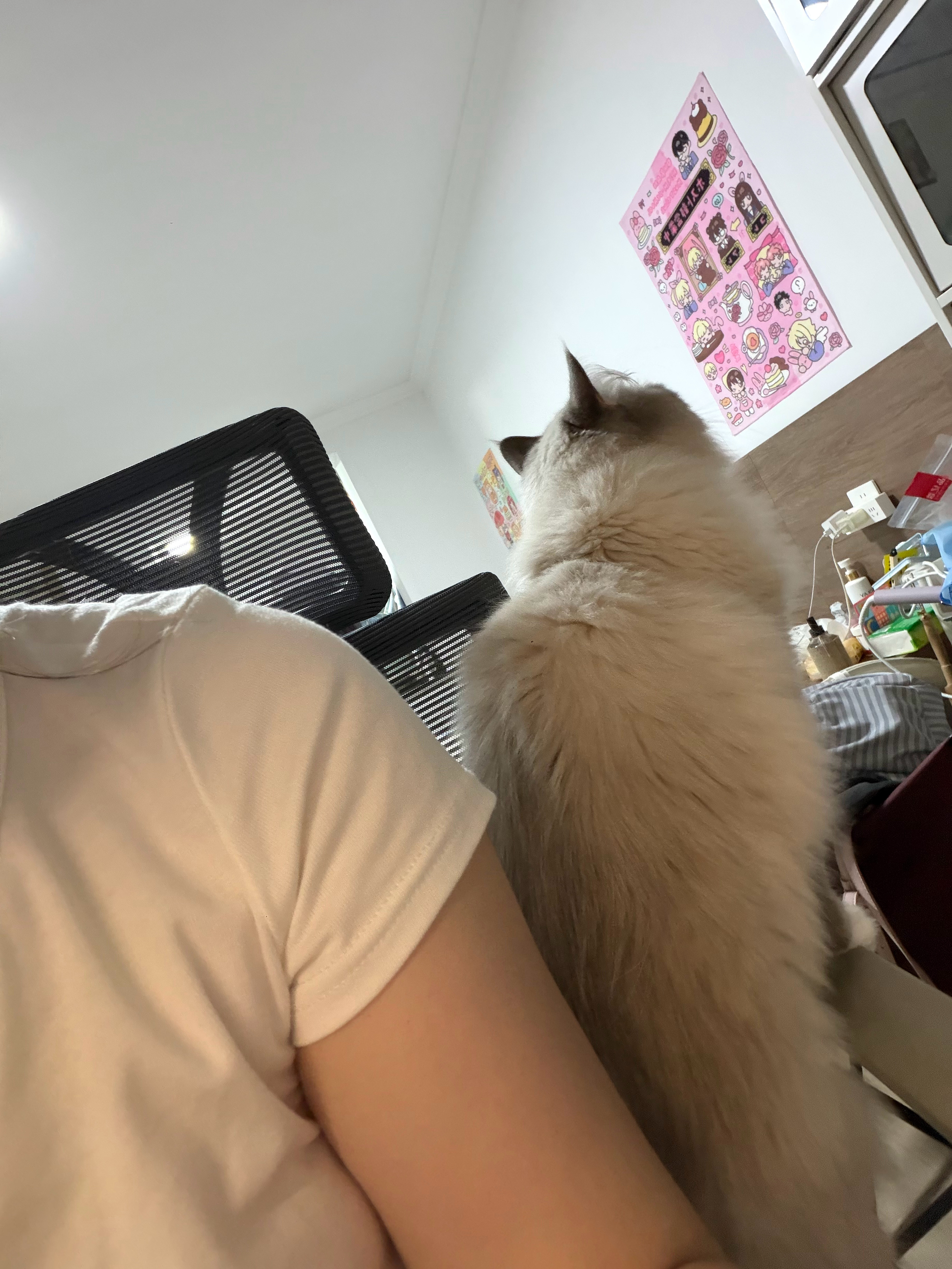你怎么老是粘着我呀