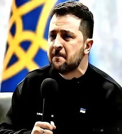 总统不当了，北约不进了，甚至仗打输了，都行。我跟你说，泽连斯基现在就认一个死