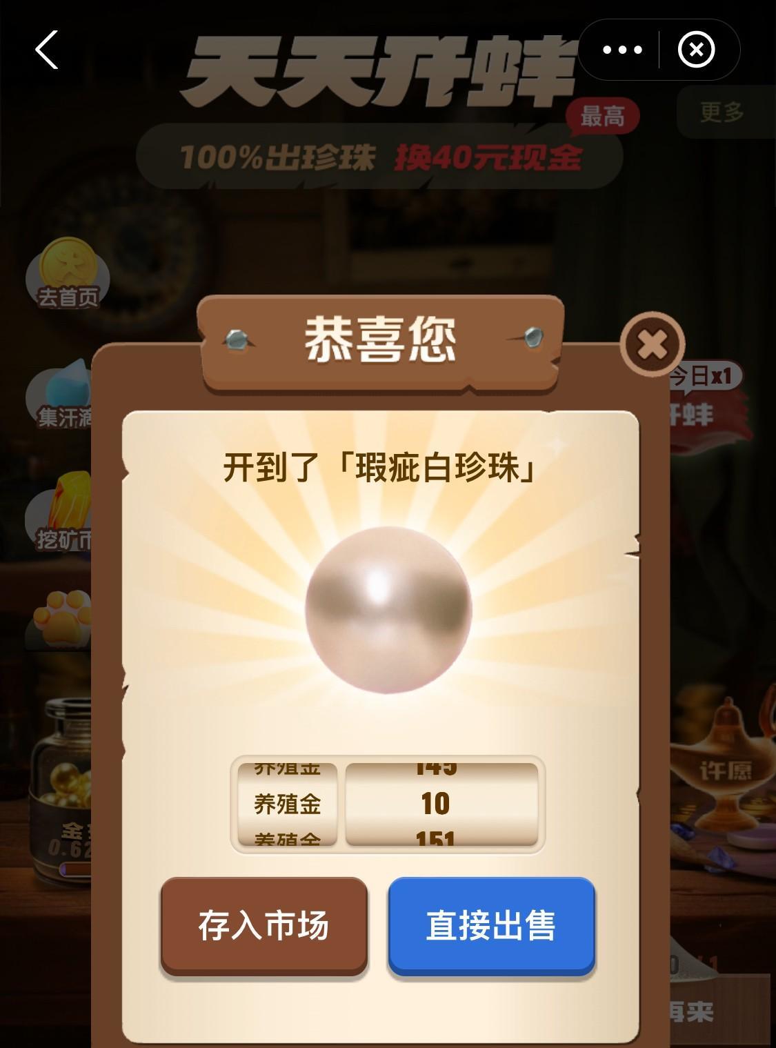 今天的二级蚌，只开出了2枚瑕疵白珍珠！瑕疵白珍珠，在珍珠里是最低级的一个品种了