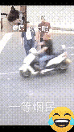 一个车祸都给我看笑了，大哥太从容了，骑着电动车，撞到了小轿车身上，倒在地上的时候