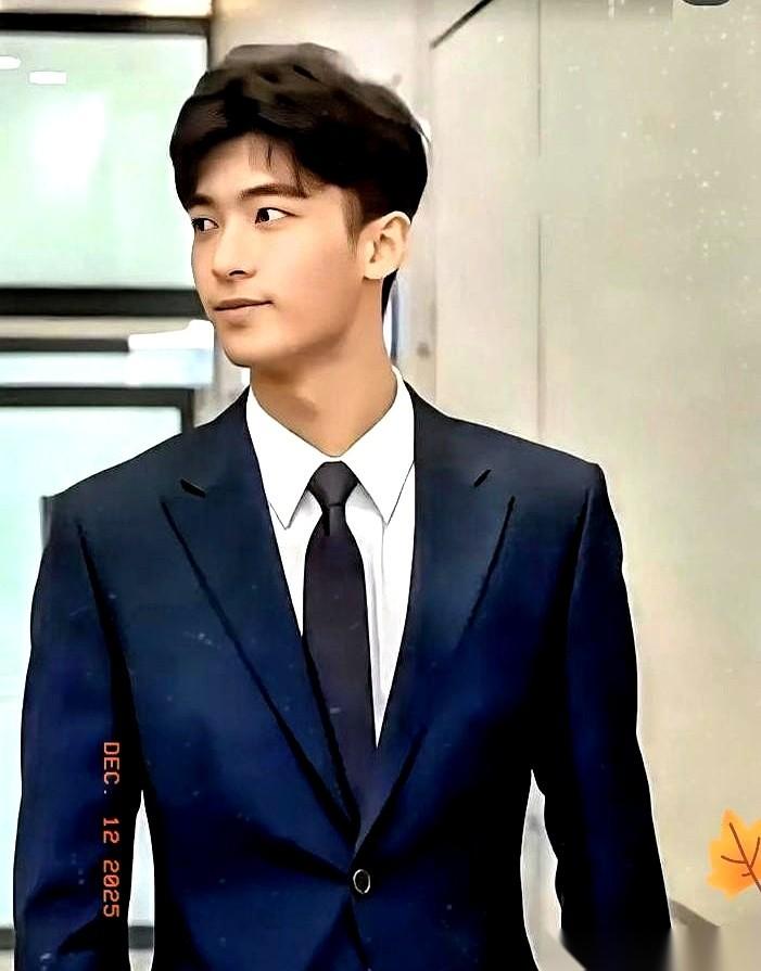 18岁，刚下飞机，闪光灯就冲着张柏芝的脸一通乱闪。她儿子Lucas，想都没想，