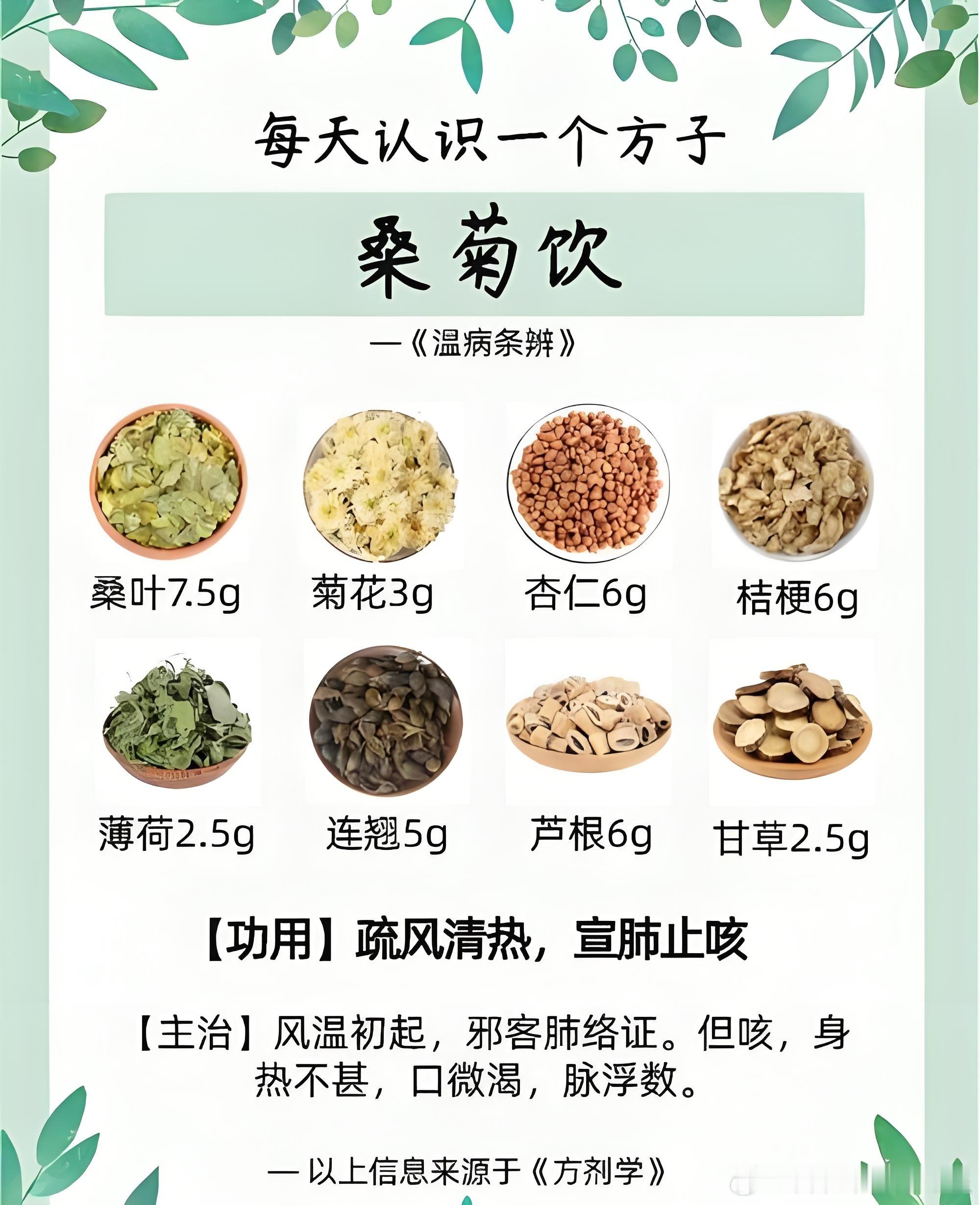 桑菊饮的方剂解析一、桑菊饮最独特的2个配伍亮点1. “轻清治上”的精准定位，专克