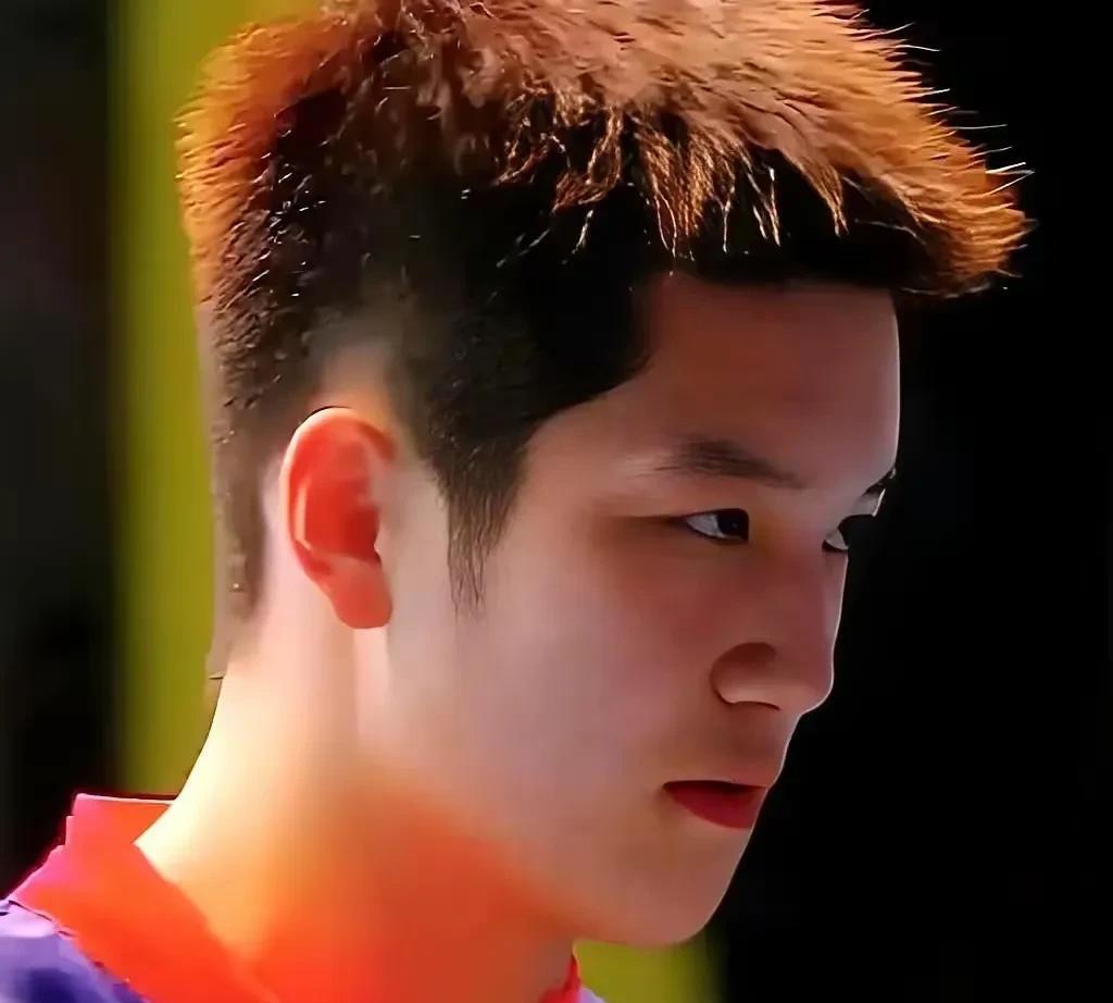 坏了，国乒男队已经到了危险的边缘，在最新的排名中，雨果和张本智和，已经和王