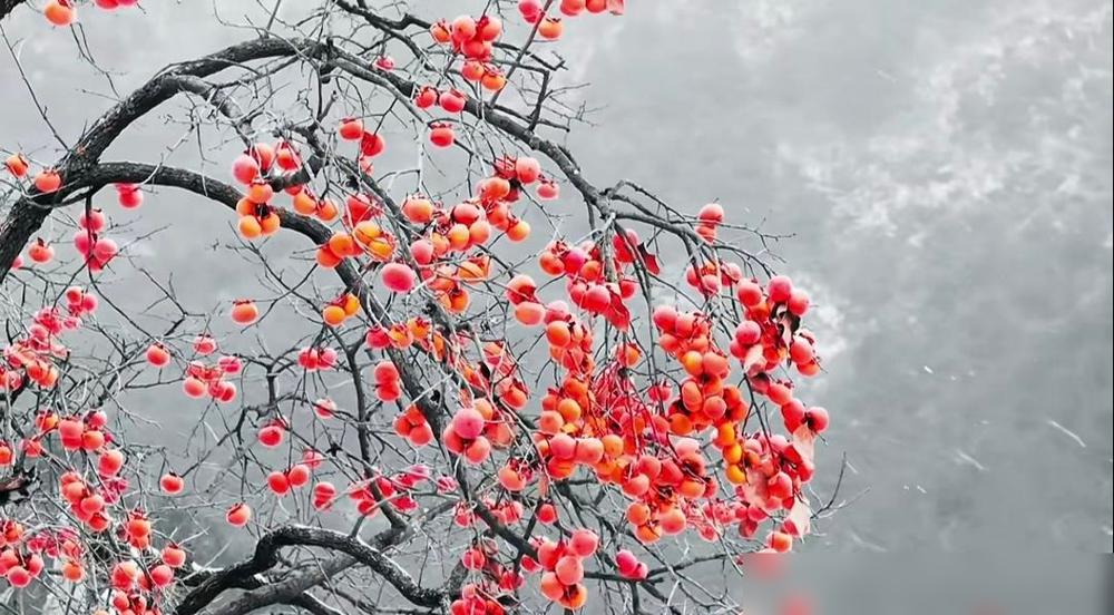 演员演戏，演善者多寿，演恶者多横死，演仙佛者多孤清，演情欲者多苦闷，演喜者多悲，