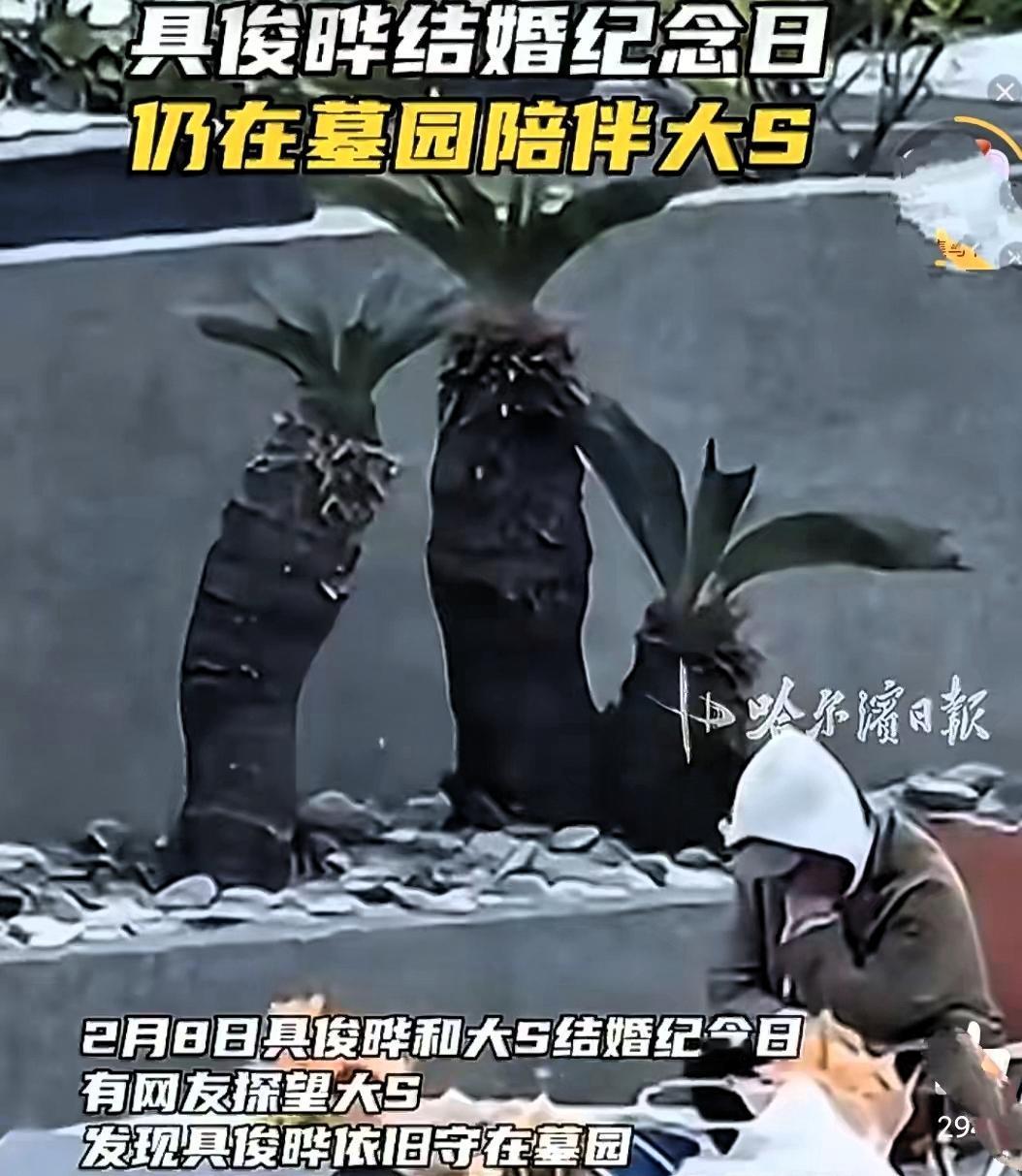 具俊晔扫墓风波：深情缅怀，还是另有所图？具俊晔去扫墓了，二月八号那天，应该是他