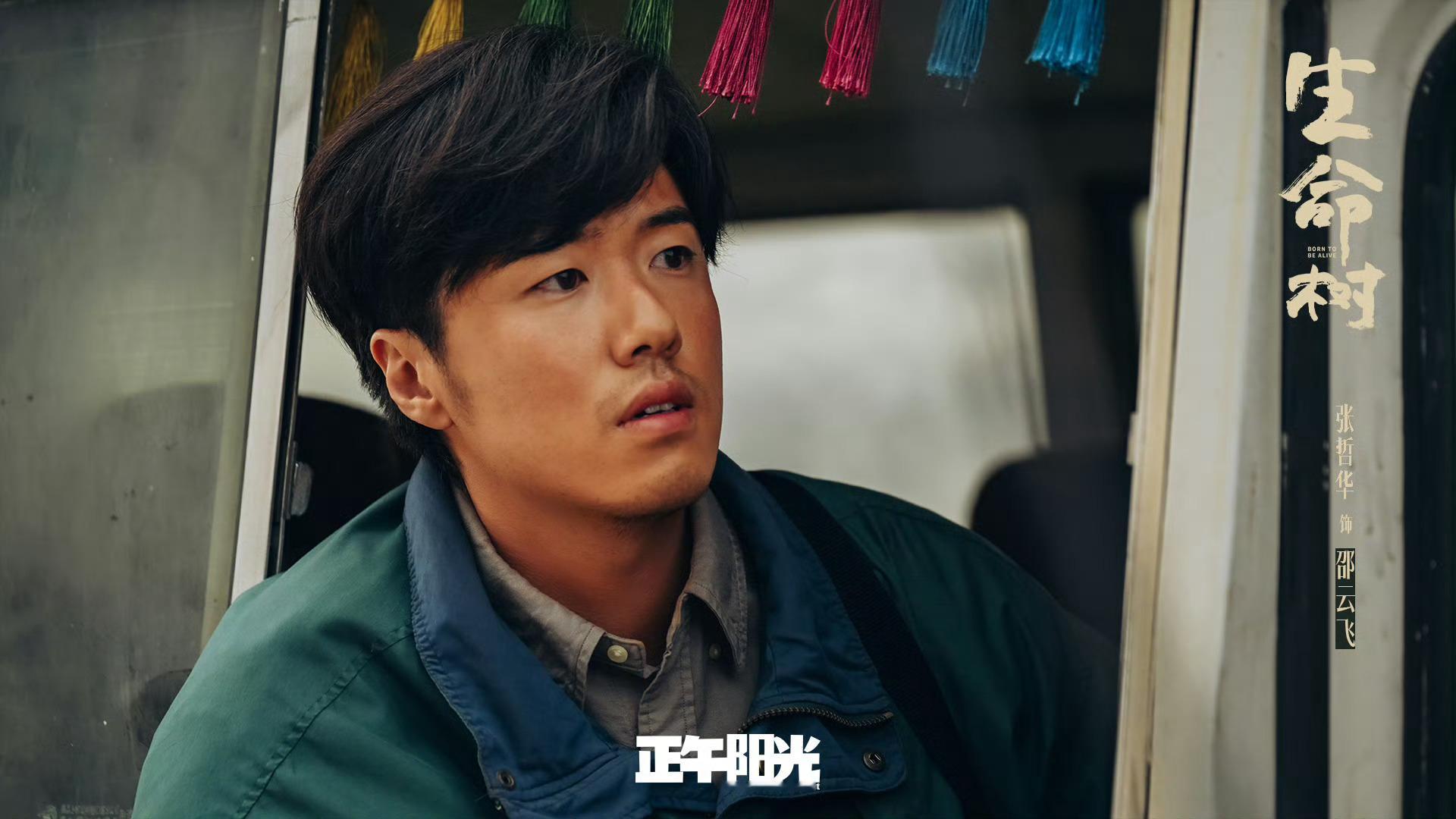 以生命守护生命，《生命树》后劲太大了