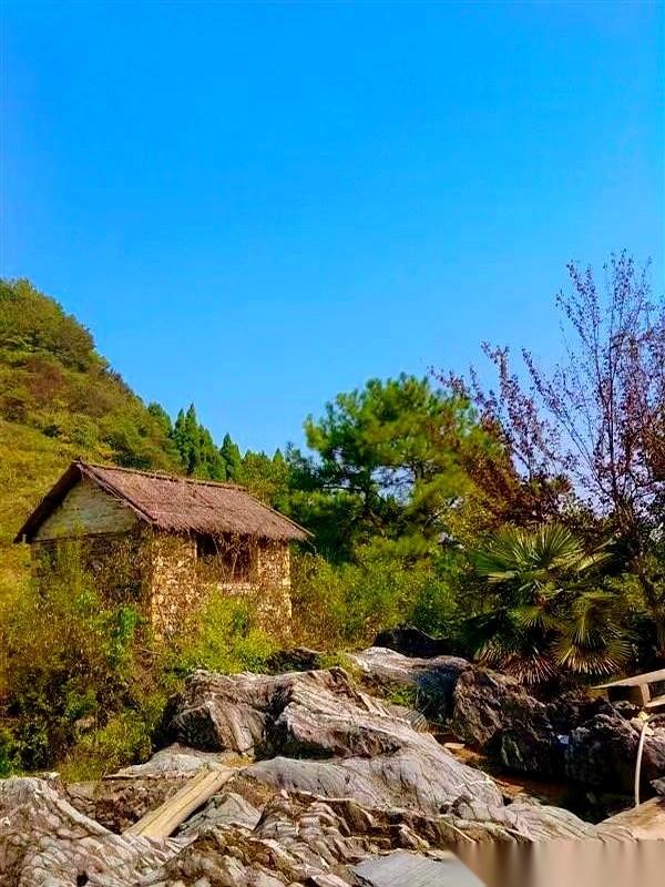 如果婚姻能重来，95%的人会换个枕边人。但如果人生能重来呢？估计烟照抽，酒照