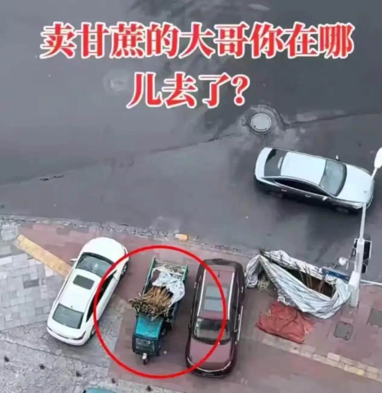 全网破防！四川大哥消失数月，甘蔗枯成木头，一句担心平安看哭无数人四川一男子