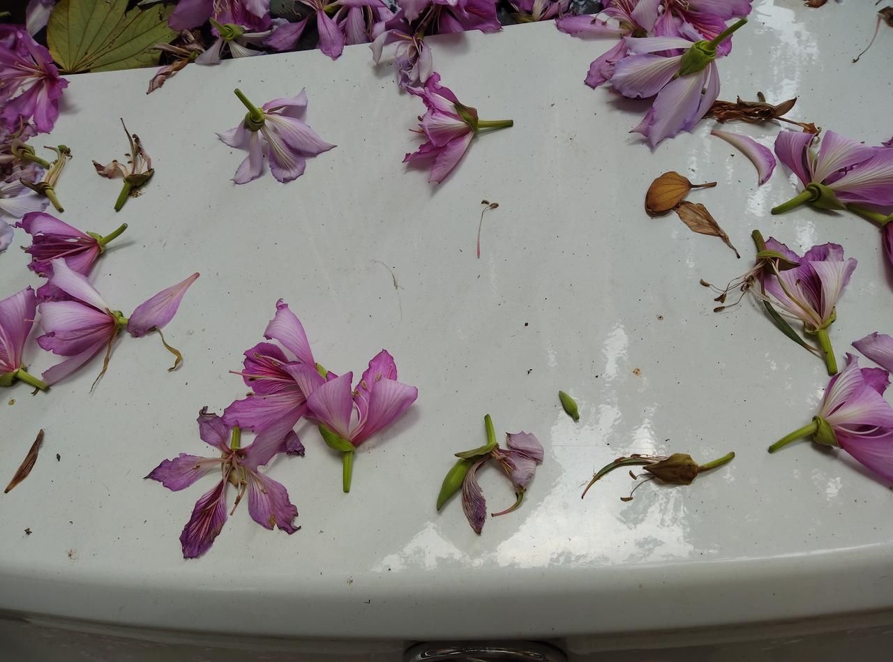 难搞！5000家4S店关门，许多4S店工作人员竟然要去普通汽车修理店打杂？近