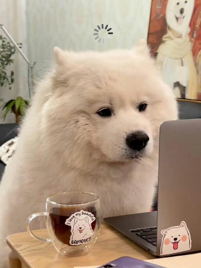 新来的同事什么也不会，只会盯着屏幕发呆耶