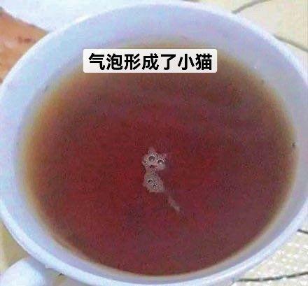气泡形成了小猫