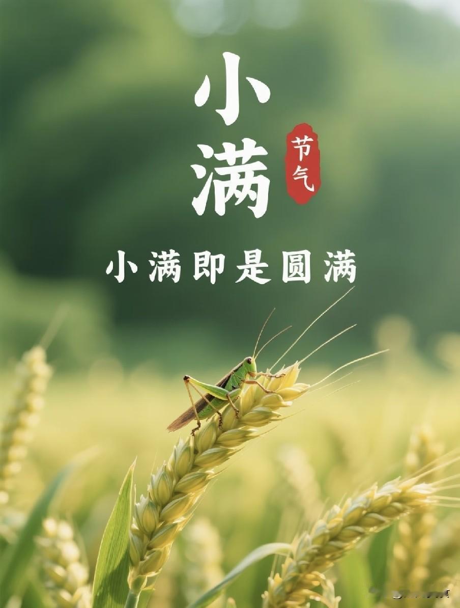今日小满，老人说最怕“小满一日雨”，今日下雨有啥预兆？早了解今日迎来二十四
