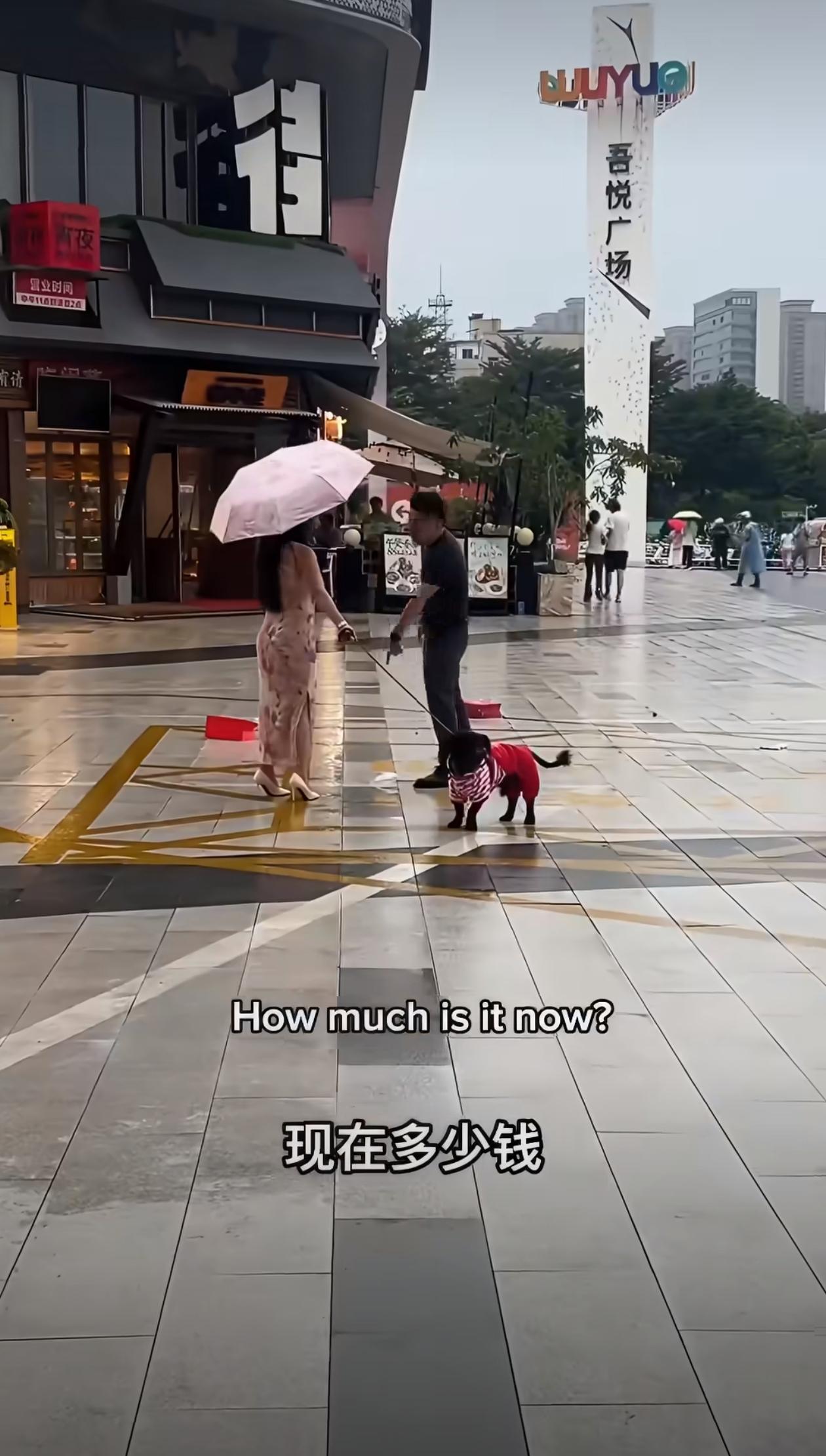 男子广场当众崩溃怒吼活得不如一条🐶！广场上，一名男子情绪彻底爆发，对着妻子当