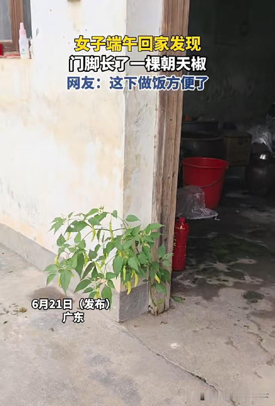 出门就有吃的