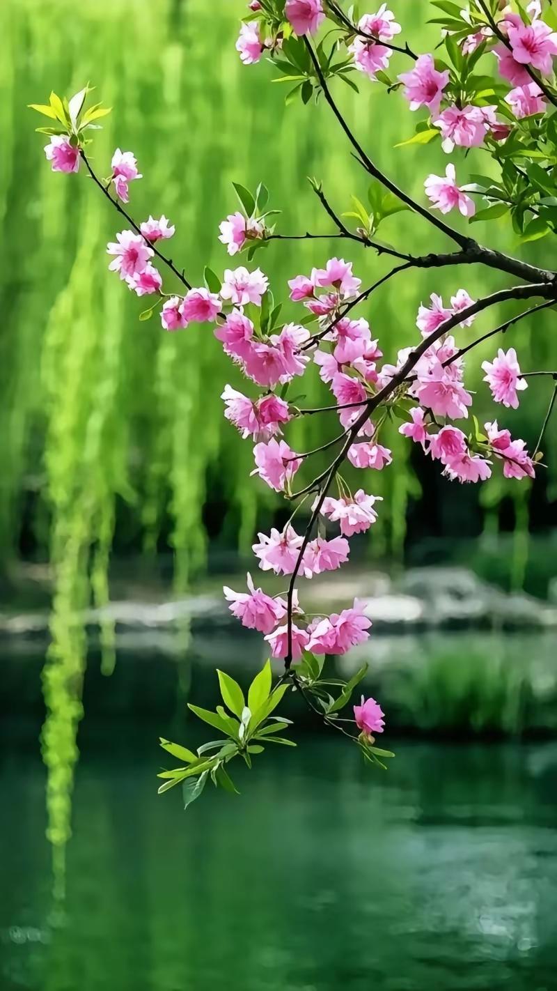 人老心不老的密码，就这几句不纠结年龄，只热爱生活。脸上可以有岁月，心里永