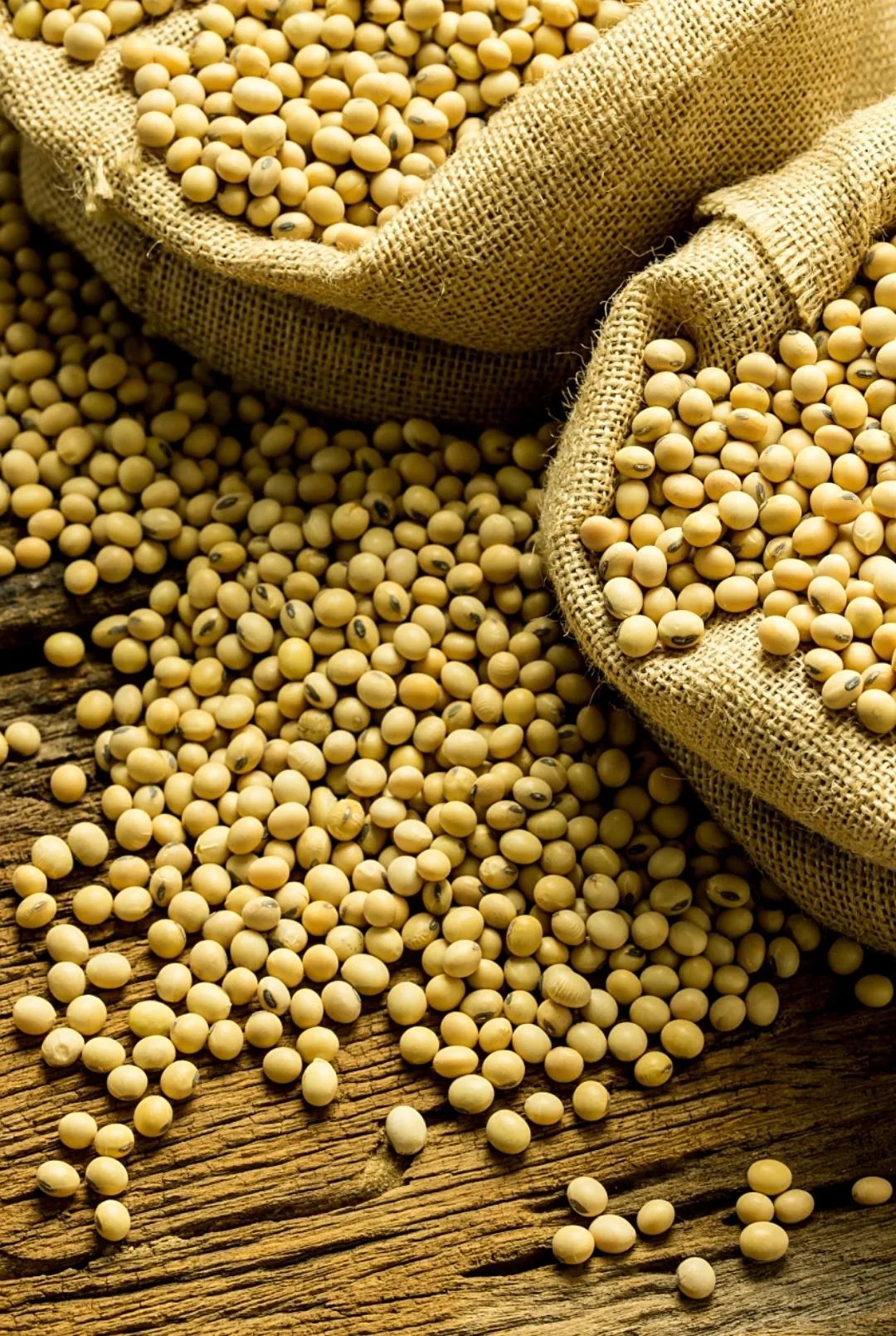 去年11月10日，中美暂停贸易战，美国大豆涌入我国，可惜由于猪肉价格太低，养殖户