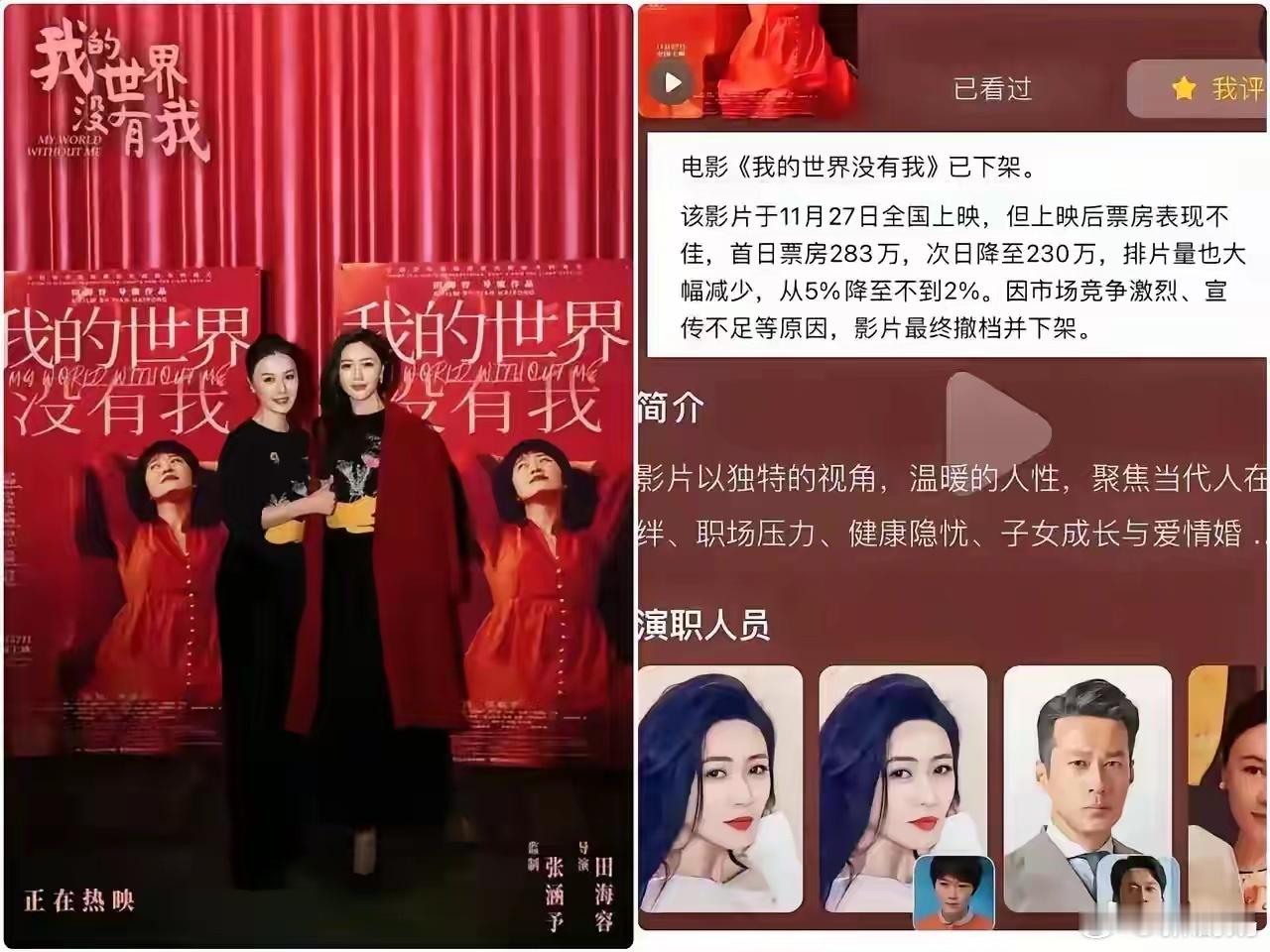 资本终究败给了民意！《我的世界没有我》上映6天就下架！田海蓉磨了七年的心血之作，