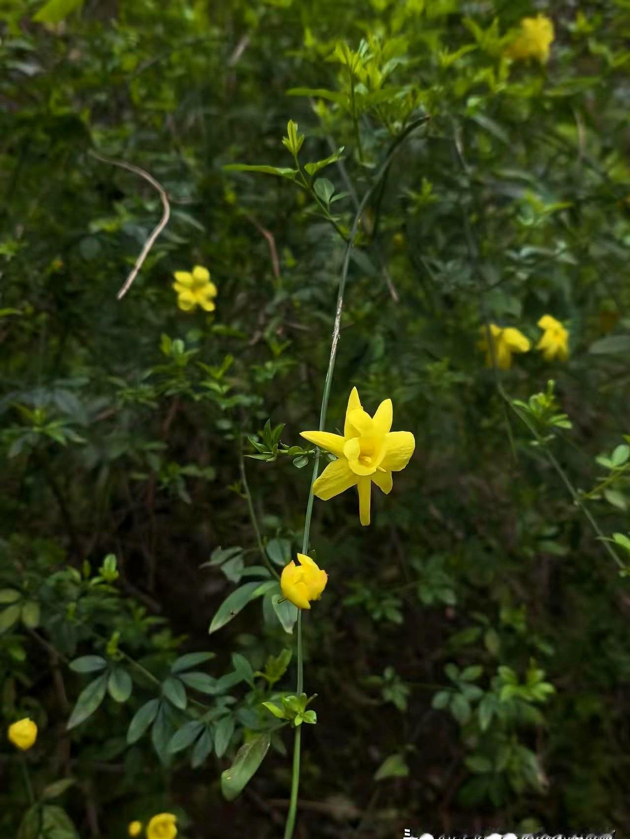 你身边有这种人吗？我朋友，昨天股票刚回点血，忍了几个月终于绷不住，咔咔全卖了。