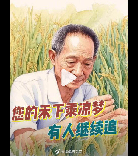 泱泱华夏，后继有人！让袁隆平挠头的学生在沙漠种小黑麦袁隆平院士离开我们5年了